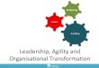 141107 leadership and organisational development