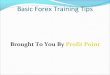 Basic forex training tips.pot
