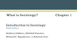 Vermette - PP - Chapter 1 - What is sociology?