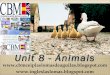 UNIT 8 - ANIMALS