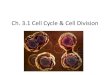 3 1 cell cycle overview (k)