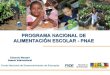 Brazil's National School Feeding Programme