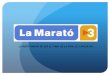 Marato tv3