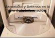 Seguridad Y Defensa