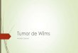 Tumor de Wilms