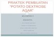 Praktek Pembuatan Potato Dextrose Agar (PDA)
