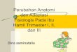 Perubahan anatomi & adaptasi fisiologi pd bumil AKPER PEMKAB MUNA