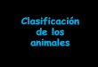 Criterios de clasificación de los animales