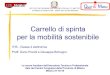 Carrello di spinta - IT Mattei , S.Donato M-