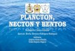 Plancton, Necton y Bentos