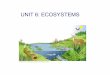 Unit6 ecosystems