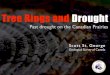 Tree rings and drought on the Canadian Prairies
