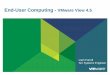 A new virtualization strategy and approach to end-user computing