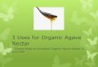 3 Uses for Organic Agave Nectar