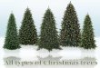 All types of christmas trees