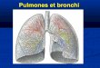 L3   pulmones