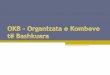 Okb – organizata e kombeve të bashkuara