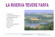 La riserva naturale Tevere- Farfa e i suoi paesi