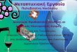 Presentation of my MSc thesis (Greek)
