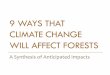 9 Ways that Climate Change Will Affect Forests