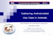 Dr. William Flynn - Gathering Antimicrobial Use Data in Animals