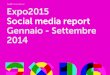 Primo semestre 2014 - Expo2015 social media