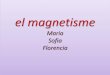 El magnetisme