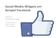 Social Media Widgets