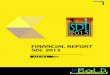Reporte financiero - SDL 2013