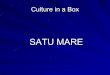 Culture in a box denk bianka