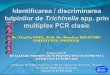 Validarea metodei de identificare de specie la Trichinella spp prin multiplex PCR