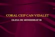 Coral Ceip Can Vidalet OLESA DE MONSERRAT08