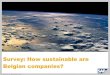 Sustainability Survey, SAP Belgium - June 2010