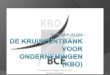 De Kruispuntbank Voor Ondernemingen (Kbo)