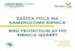 Bird protection at Ribnica Quarry, Bosnia and Hercegovina