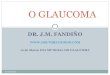 Glaucoma noia-1