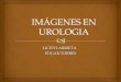 Imágenes diagnosticas en urologia