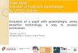 Case study - Inclusion of pupil with quadriplegia