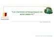 ENJ-200: Convenios internacionales del Medio Ambiente (Dra. Yocasta Valenzuela)