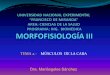 Músculos de la Cara. Morfo III. Ing Biomédica
