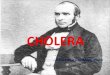 epidemiology of cholera