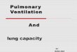 Pulmonary Ventilation and Lung Capacity