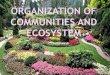 Organization of communities and ecosystem