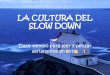 La cultura del slowdown