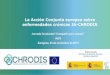 La Acción Conjunta europea sobre enfermedades crónicas JA-CHRODIS