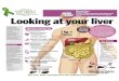 Liver cancer and viral hepatitis awareness month infographics