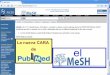 La nueva cara de PubMed: MeSH