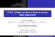 SUSY Q-Balls and Boson Stars in Anti-de Sitter space-time - Cancun talk 2012