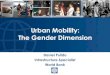 Urban Mobility: the gender Dimension