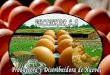 Exportacion de huevo